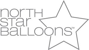 NorthStar Foil Balloon 000503 Letter Y Silver 16, 